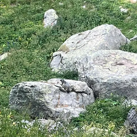 Riviera Allos